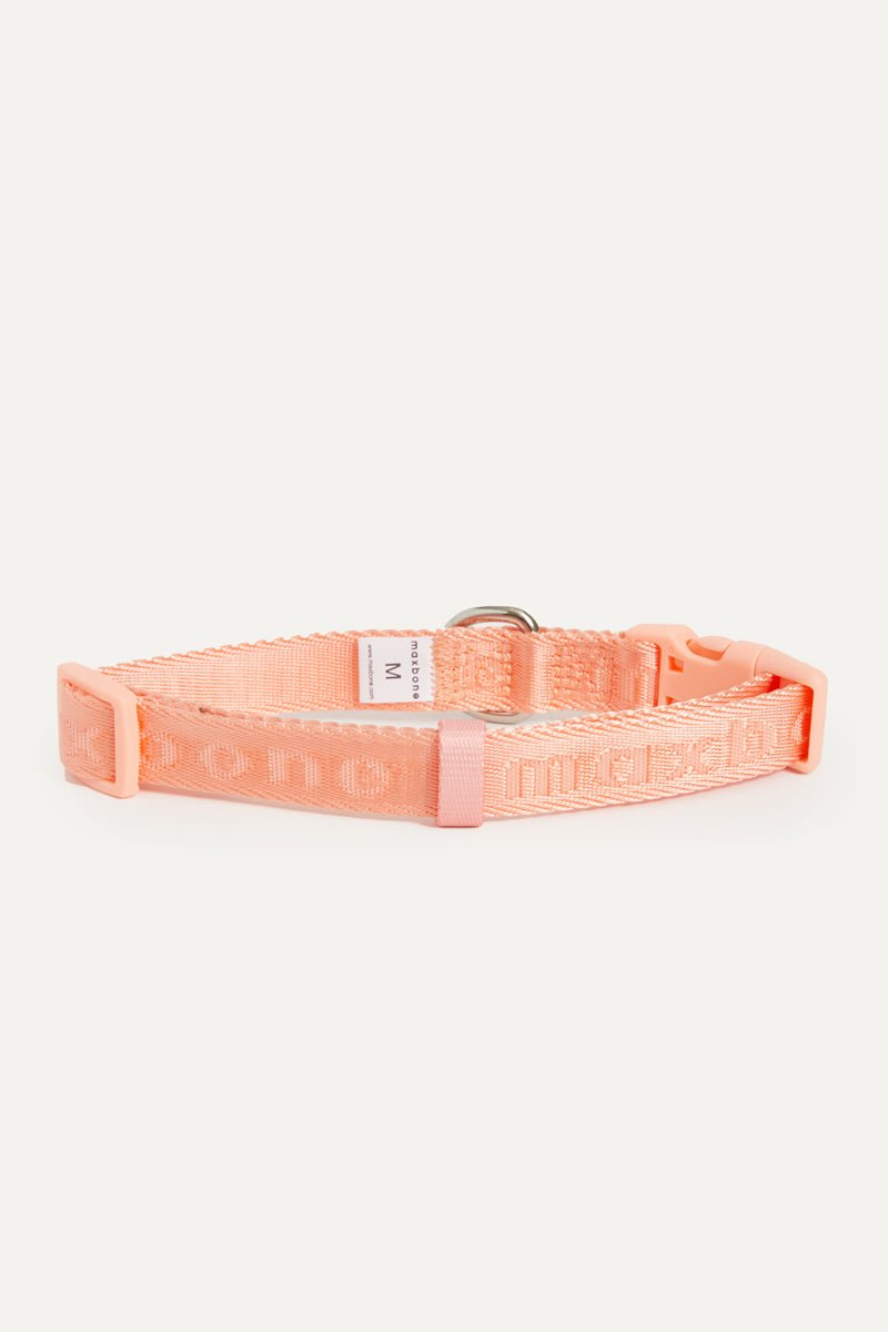 Coleira Signature Collar premium da Maxbone em Dusk Blue — vista lateral (16)
