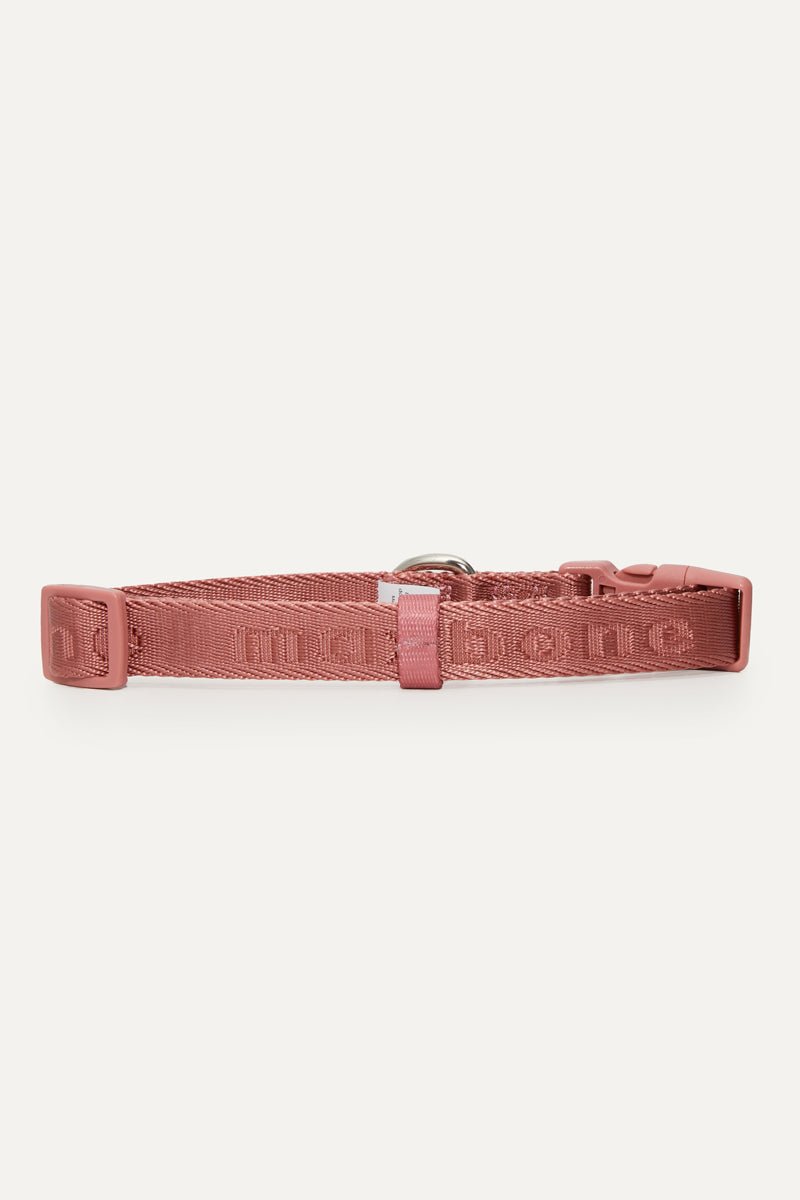 Coleira Signature Collar premium da Maxbone em verde sálvia — em utilização (47)